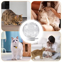Cat Grooming Masque Clear Cat Adjustable Hood  Cat Muzzle