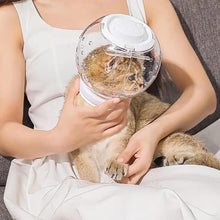 Cat Grooming Masque Clear Cat Adjustable Hood  Cat Muzzle
