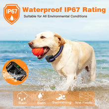 3300Ft Electric Dog Training Collar Remote Control Waterproof Belt
