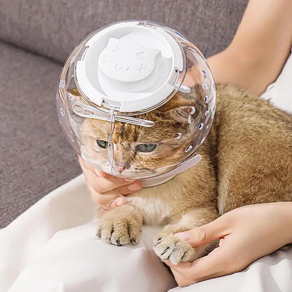 Cat Grooming Masque Clear Cat Adjustable Hood  Cat Muzzle